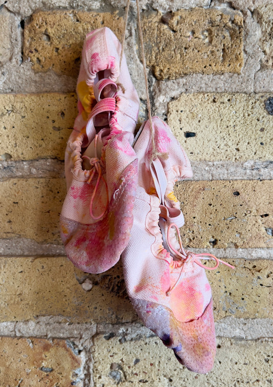 Last Time: Ballet Shoes
